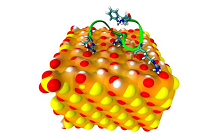 Importance of chemical modifications of proteins for their interactions with nanoparticles
