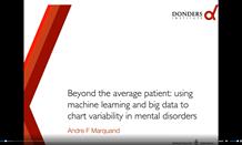 Beyond the average patient: using machine learning and big data to chart variability in mental disorders