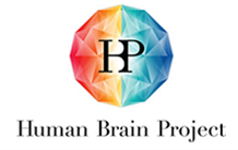 BRICON, a project of the Human Brain Project for NeuroSpin