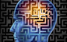 Résultats d'une étude d'imagerie comparant les altérations cérébrales dans l'autisme et la schizophrénie