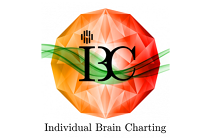 Individual Brain Charting: a high-resolution brain mapping of cognitive functions