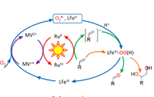 A clean and efficient photocatalysis for the production of compounds of interest