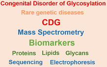Des avancées dans le diagnostic des anomalies congénitales de la glycosylation