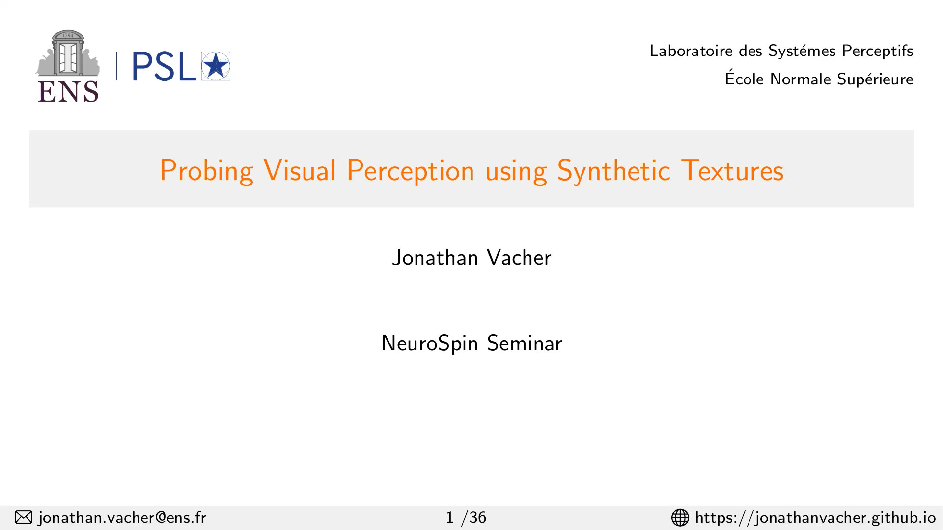Probing Visual Perception using Synthetic Textures