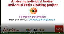 Analyzing individual brains: The Individual Brain Charting project