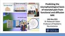 Predicting the neurophysiological basis of neonatal pain from functional and diffusion MRI