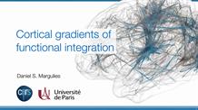 Cortical gradients of functional integration