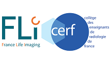 Journée scientifique FLI-CERF 2023