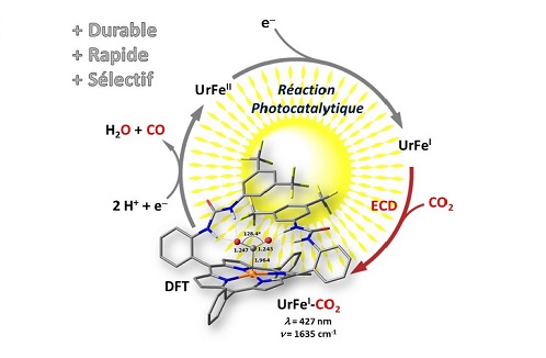 Photoreduction of CO2 by iron porphyrins