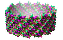 The unveiling of atomic structure of lanreotide nanotubes surprises!