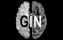 Groupe d'imagerie neurofonctionnelle (GIN-IMN)
