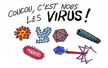 Vignette-BD-virus-Francis-bis.png