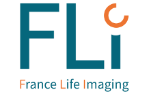 France Life Imaging - Deuxième journée des WP scientifiques et de formation