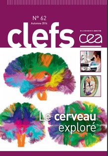 Clefs CEA - Le cerveau exploré